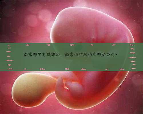 南京哪里有供卵的，南京供卵机构有哪些公司？