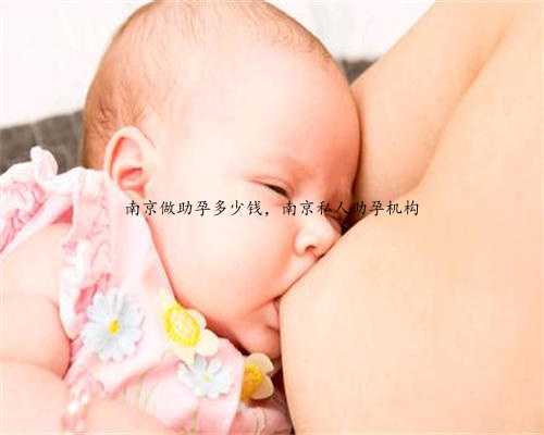 南京做助孕多少钱，南京私人助孕机构