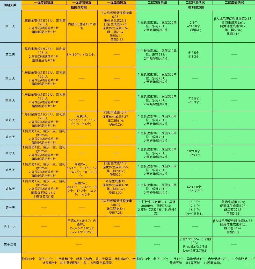 国内代孕哪里有,自闭症是几号染色体有问题（自闭症是染色体异常吗）