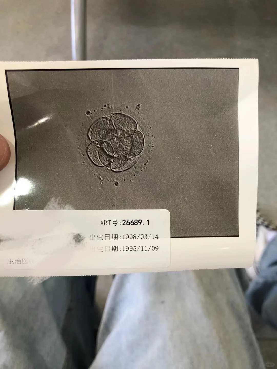 南京助孕地址电话,南京专门做试管的医院流程,哪家靠谱靠前