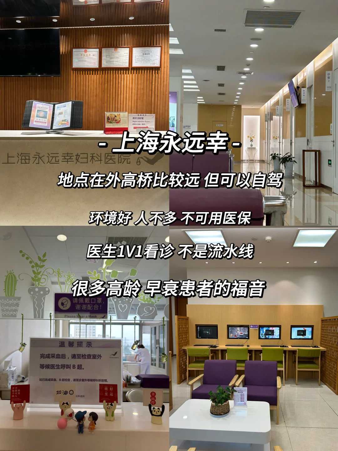 试管代孕成功概率大吗,精子的形成都经过哪些阶段