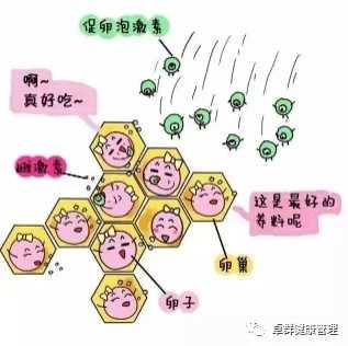 浙江省人医可以做试管三代吗(江苏宿迁可以做试管婴儿吗)