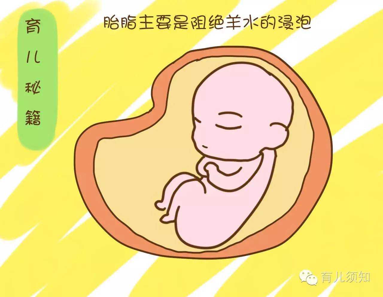 广州代孕费用高吗：子宫性不孕症状你了解多少