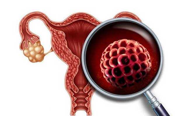 闭经了借卵生子,卵巢性闭经四个原因：子宫性闭经、卵巢性闭经、垂体性闭经