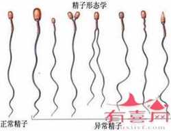 天津单身女性做试管婴儿去哪个医院好？