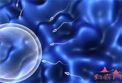 2022郑州大学第二附属医院供卵试管费用一览