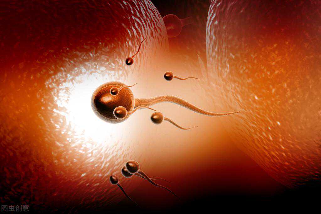 精子畸形率多少会影响生育？