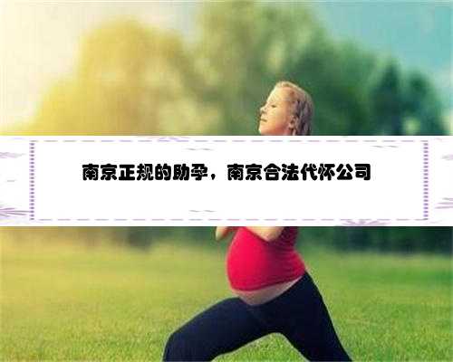 南京正规的助孕，南京合法代怀公司