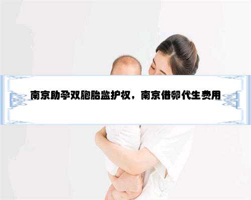 南京助孕双胞胎监护权，南京借卵代生费用
